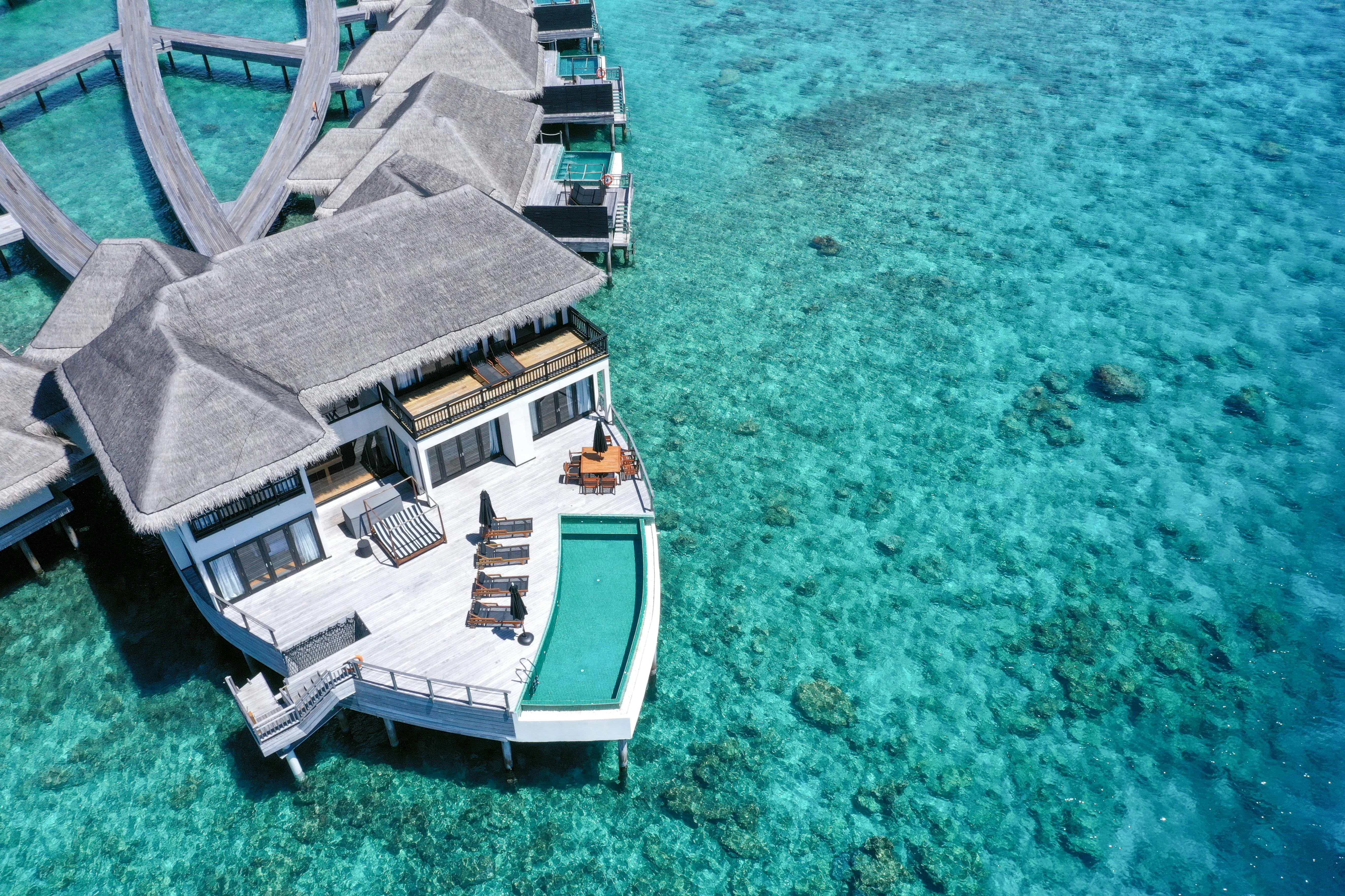 Snorkeler above a vibrant house reef